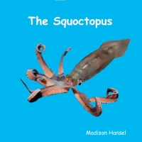 Squoctopus