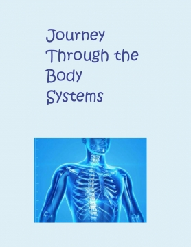 Journey Through the Body System