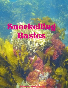 Snorkelling Basics
