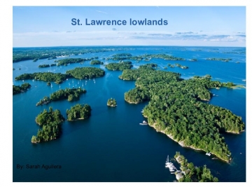 St.lawrence lowlands