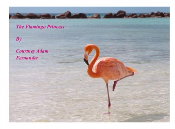 The Flamingo Princess