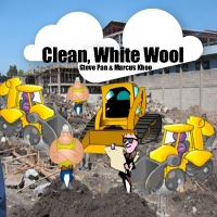 Clean, White Wool