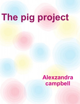 The pig project