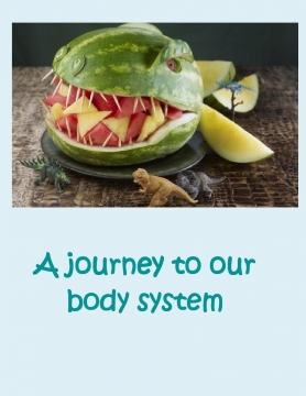 A journey to our body system