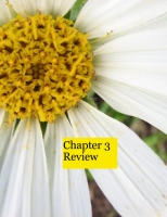 Ch 3 Review