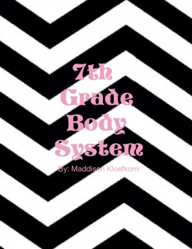 7th Grade Body System