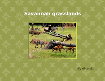 Savannah grasslands