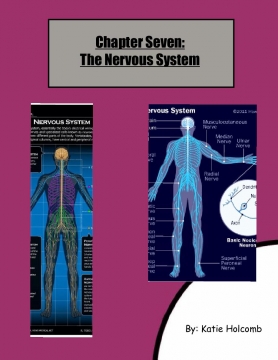 All About The Nervous System