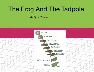 The Frog And The Tadpole