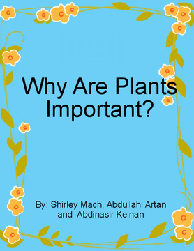 The Importance of Plants