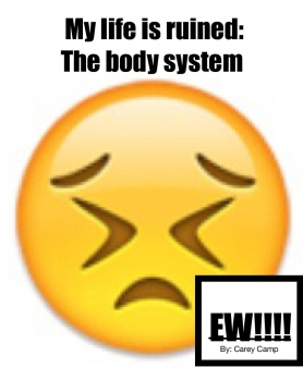 My life is ruined (the body system)