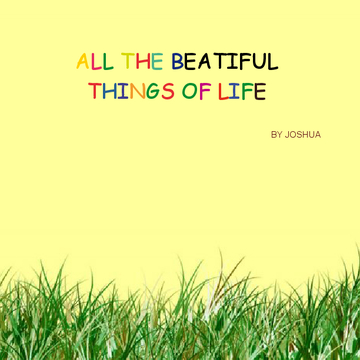 All The Beautiful Things Of Life