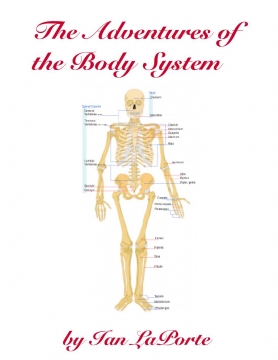 The Adventure of the Body System