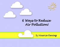 Reducing Air Pollution!