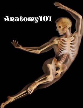 Anatomy101