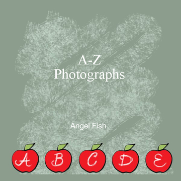 A-Z Photographs