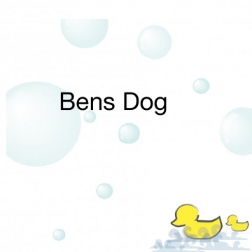 Bens Dog