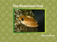 The Mysterious Frog