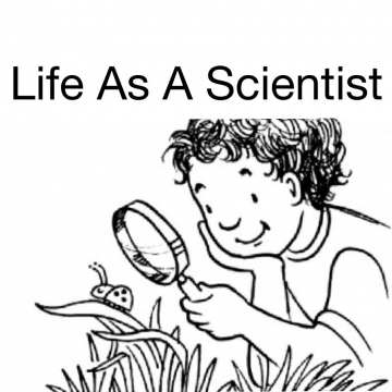 Life As A Scientist