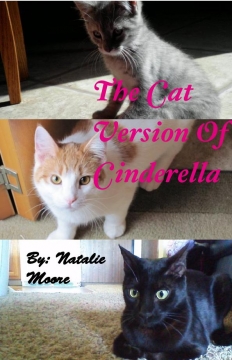 The Cat Version of Cinderella