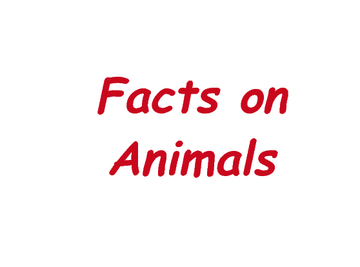 fact on animals