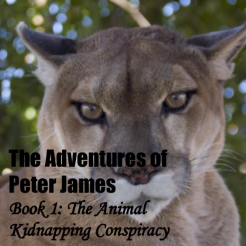 The Adventures of Peter James