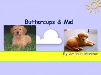 buttercups And me!