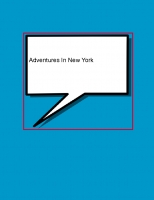 adventures in new york city