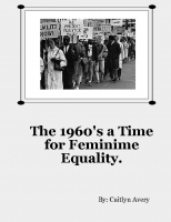 The 1960's a Time for Feminime Change.