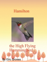 Hamilton the High Flying Hummingbird