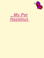 My pet Hazelnut