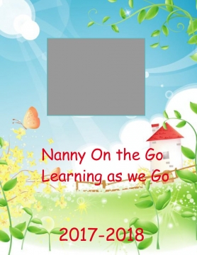 NANNY ON THE GO