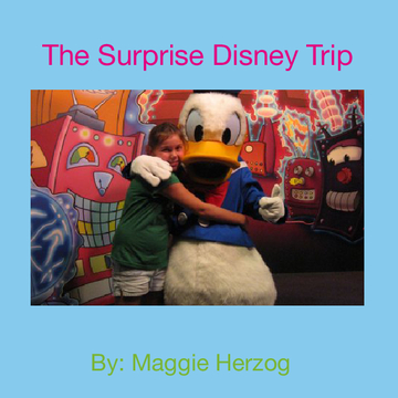The Surprise Disney Trip