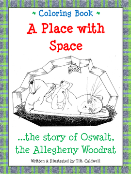 Coloring Book: A Place with Space