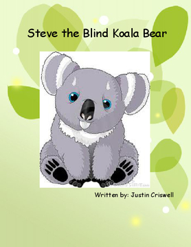 Steve the Blind Koala Bear