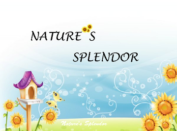 Nature's Splendor