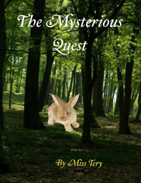 The Mysterious Quest