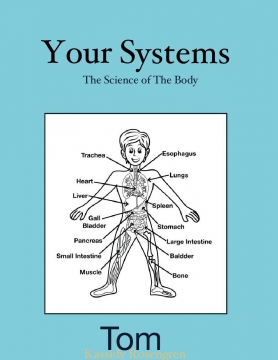 Your Systems