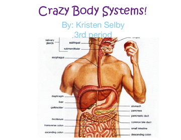 Crazy body systems!