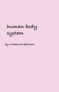 human body system