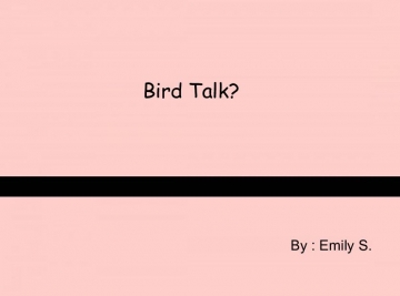 Bird Talk?