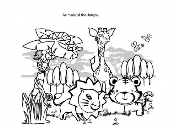 Animals of the Jungle
