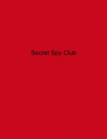 Secret Spy