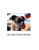 Our Best Friend, Brindle