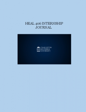 Internship Journal