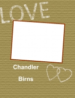 Chandler Birns