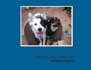 Day Camp 2013