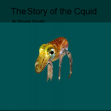 The Strory of the Cquid