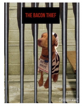 The Bacon thief