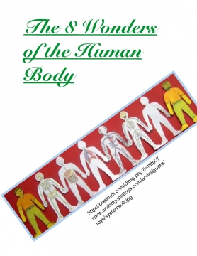 The 8 wonders of the Human Body